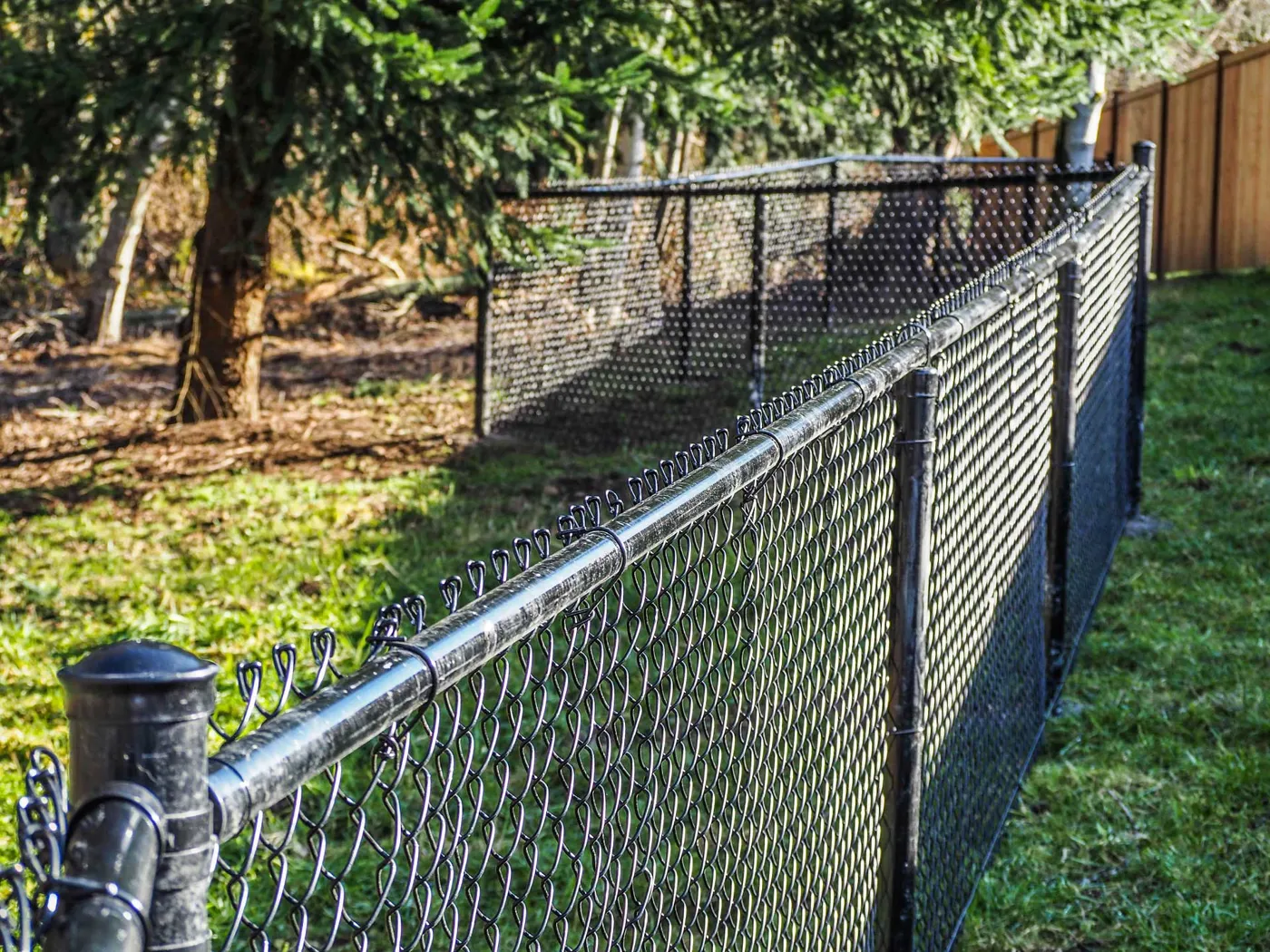 Should I Repair My Fence or Replace It?